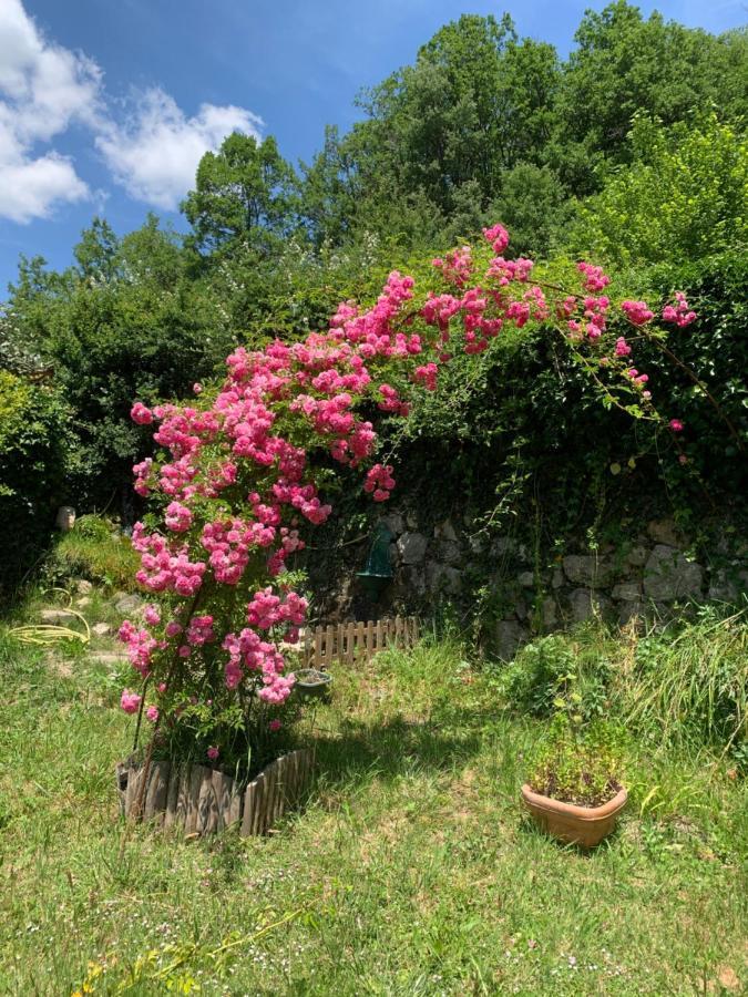 La Moutiere Maison De Vacances Castellane Zewnętrze zdjęcie